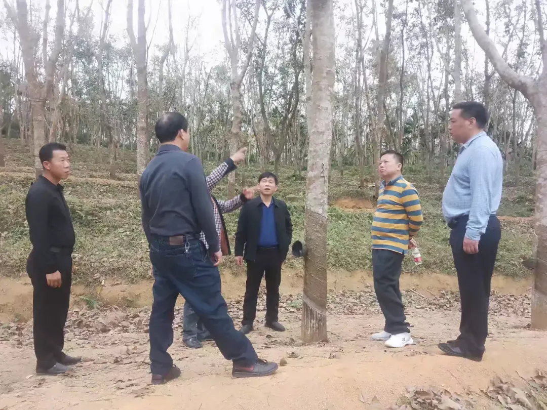 1738896708855026875.jpg 1738896708855026875.jpg