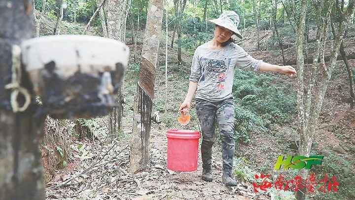 ������ʱ - �������ǲ�!