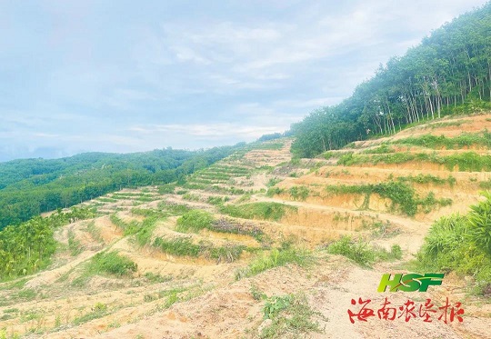 ������ʱ - �������ǲ�!