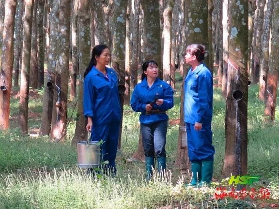 ������ʱ - �������ǲ�!