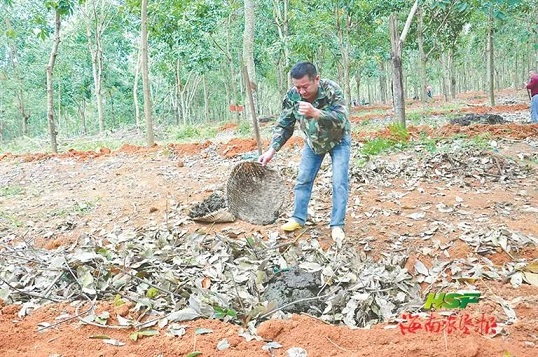 ������ʱ - �������ǲ�!