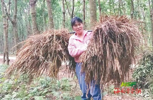 ������ʱ - �������ǲ�!