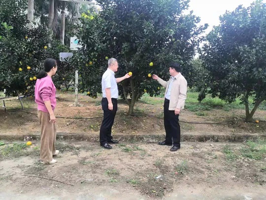 ������ʱ - �������ǲ�!