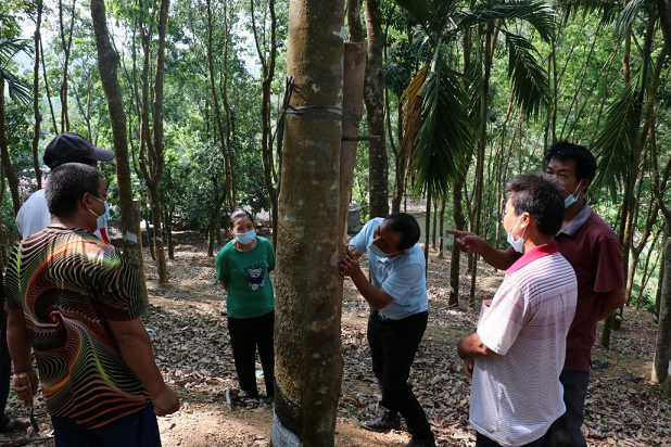 ������ʱ - �������ǲ�!