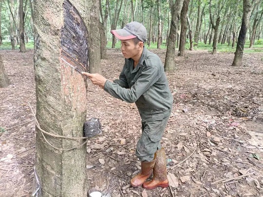 ������ʱ - �������ǲ�!