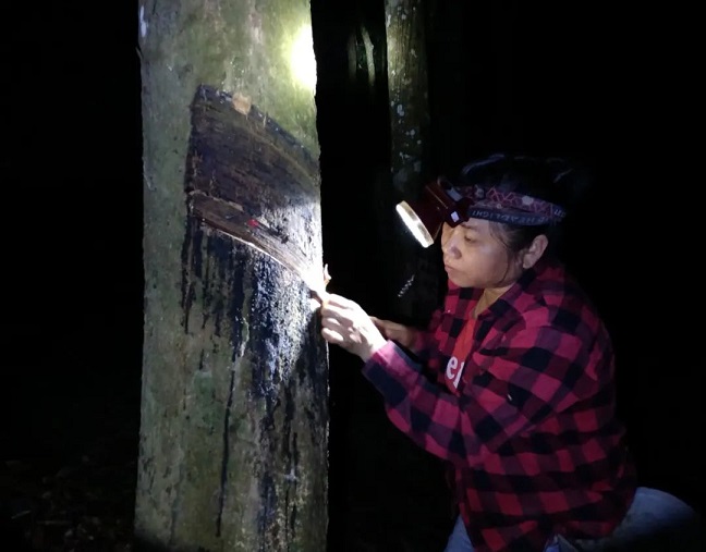 ������ʱ - �������ǲ�!