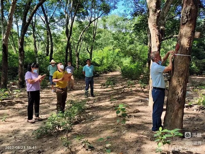 ×ðÁú¿Ê± - ÈËÉú¾ÍÊDz«!