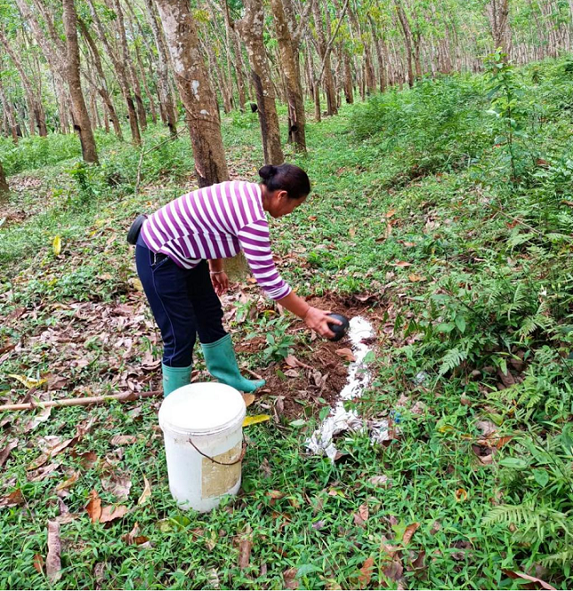 ������ʱ - �������ǲ�!