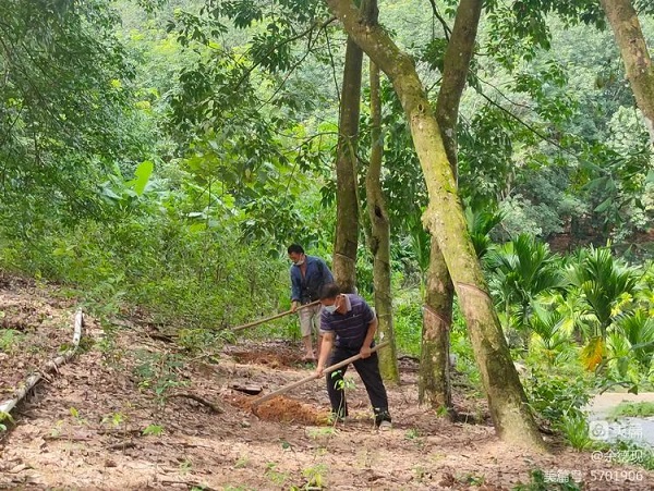 ������ʱ - �������ǲ�!