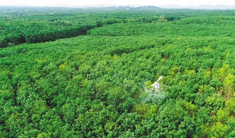 ������ʱ - �������ǲ�!