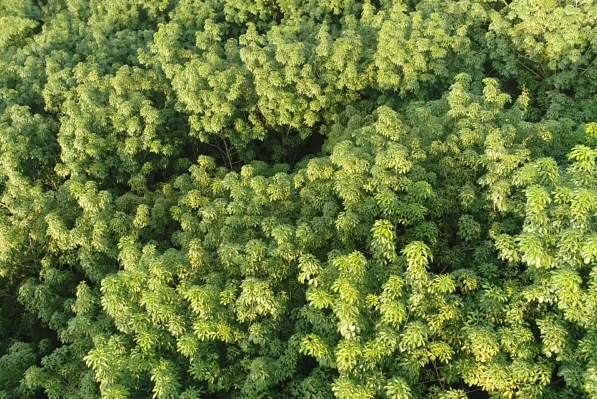 ������ʱ - �������ǲ�!