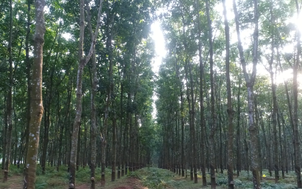 ������ʱ - �������ǲ�!