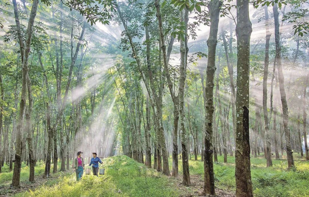 ������ʱ - �������ǲ�!